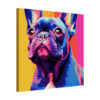 Vivid Canine