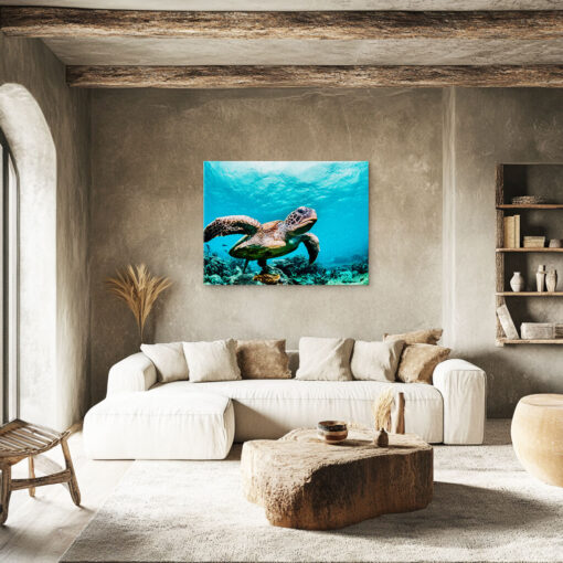 Ocean Drifter - Image 3