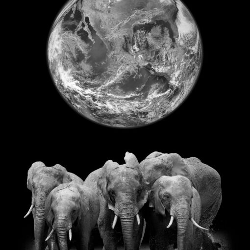 Monochrome Titan - Image 4
