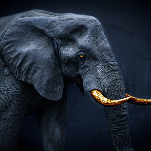 Shadowed Giant - Image 5