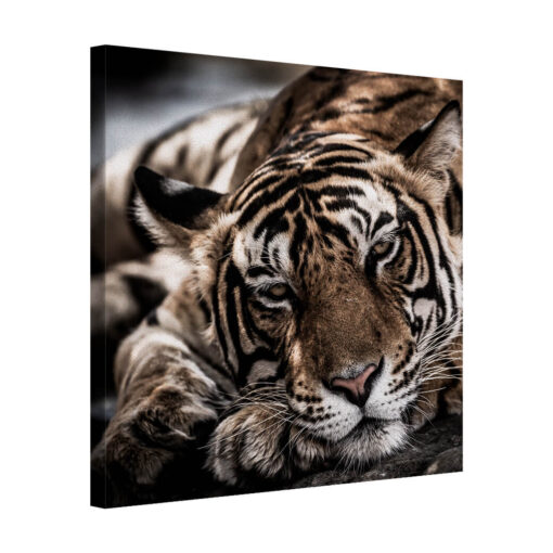 Monochrome Predator