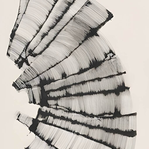 Woven Form - Image 5