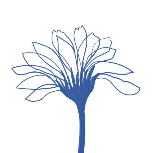 Azure Bloom - Image 5