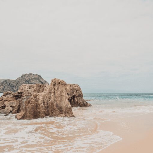 Open Shore - Image 5