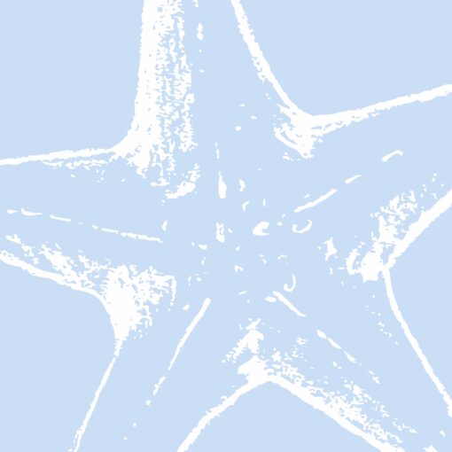 Ocean Bloom - Image 4