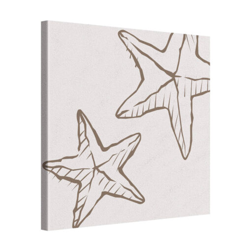 Star Echo