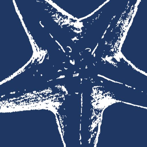 Star Tide - Image 4