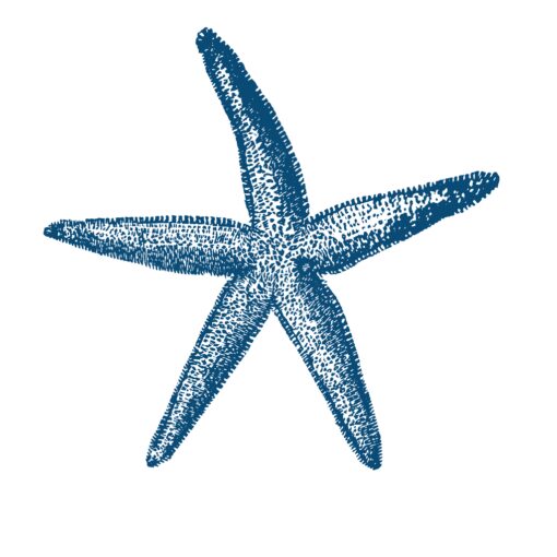 Sea Bloom - Image 4
