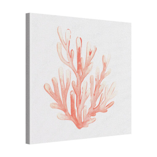Tide Bloom