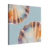 Shell Still