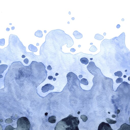 Coastal Echo - Image 5