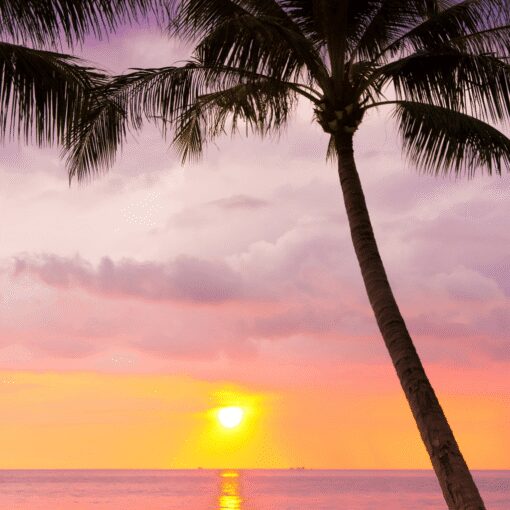 Crimson Calm - Image 4