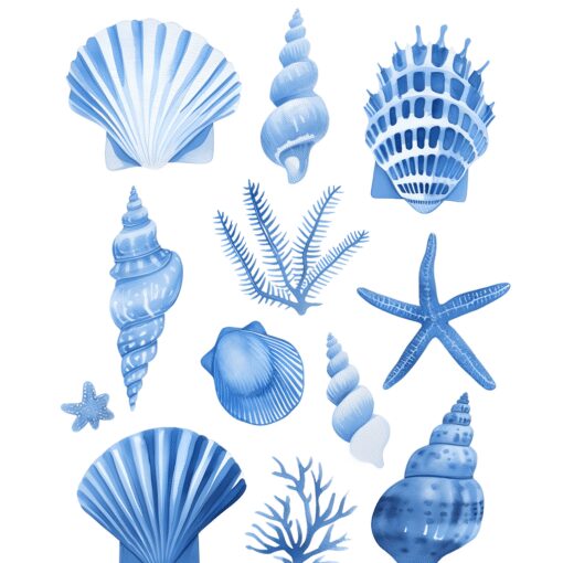 Sea Spiral - Image 4