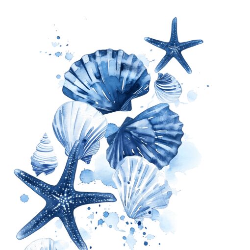 Shell & Star - Image 4