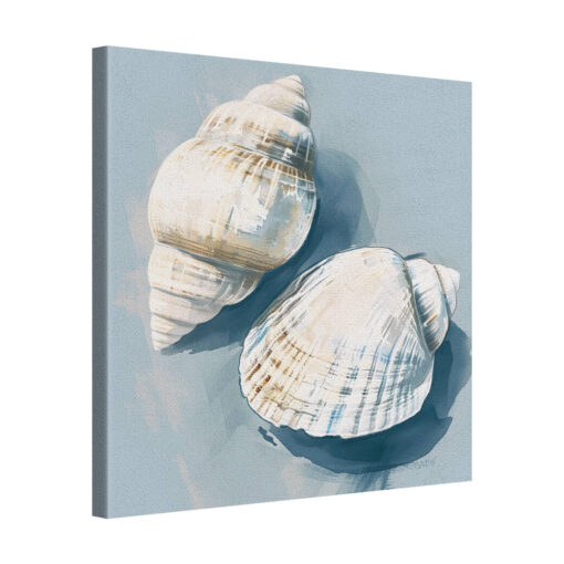 Shell Frame