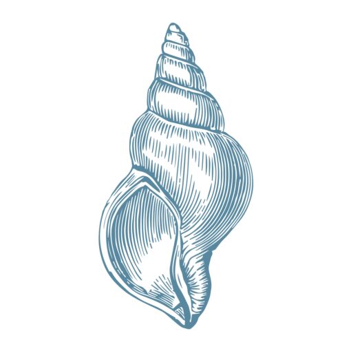 Ocean Fossil - Image 4