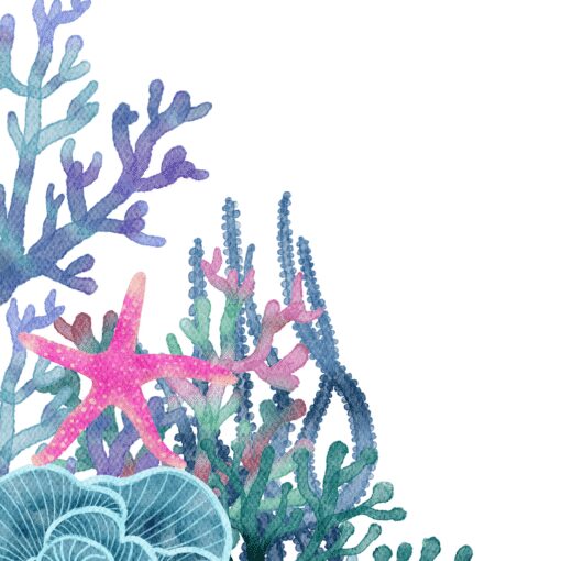 Still Reef - Image 5
