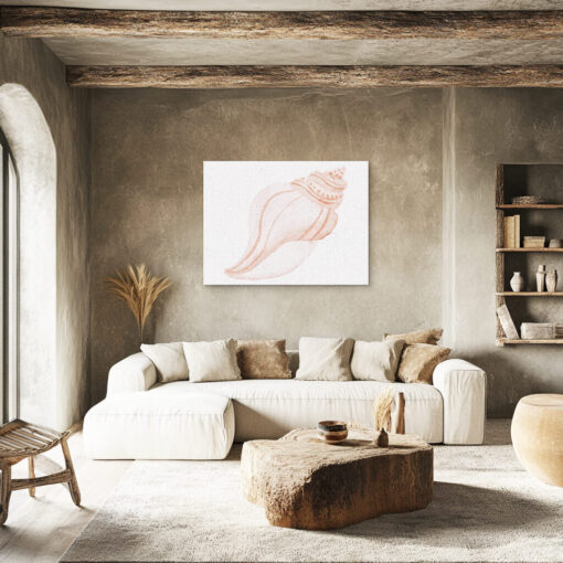 Shell Curve - Image 3