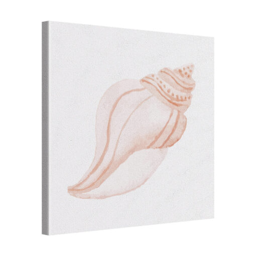 Shell Curve