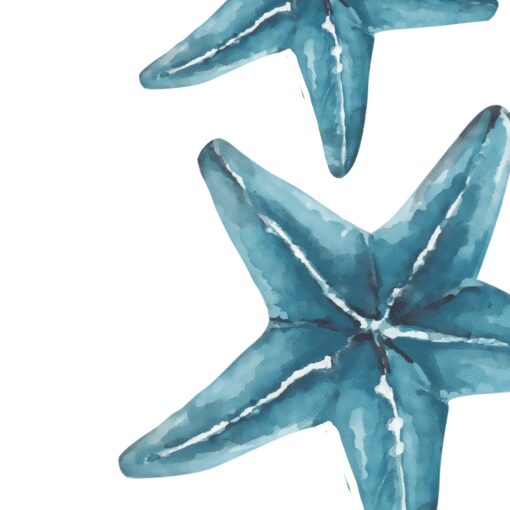 Tide Star - Image 5